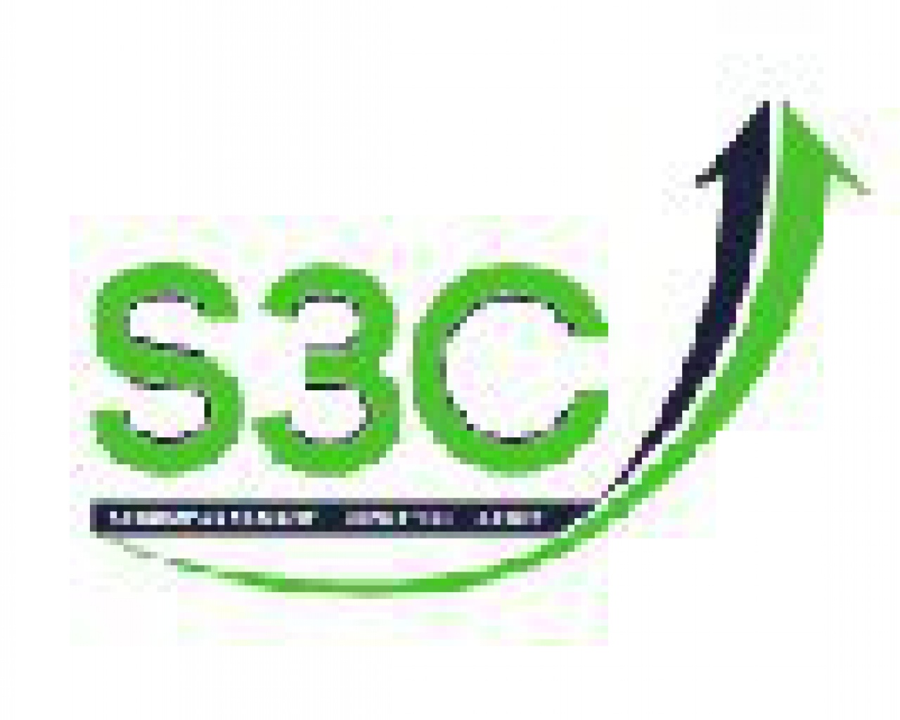 S3C Audit
