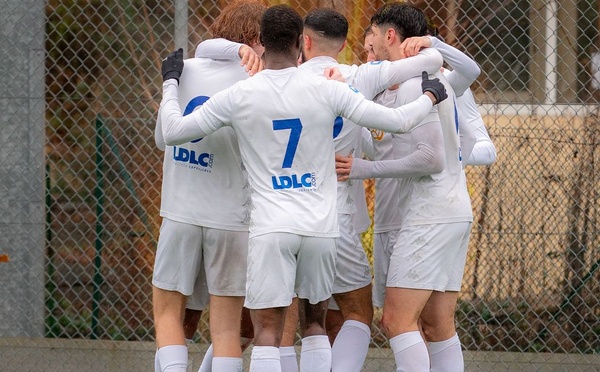 Entretenir la flamme - National 3 - Journée 17 - Hauts Lyonnais / FCLDSD